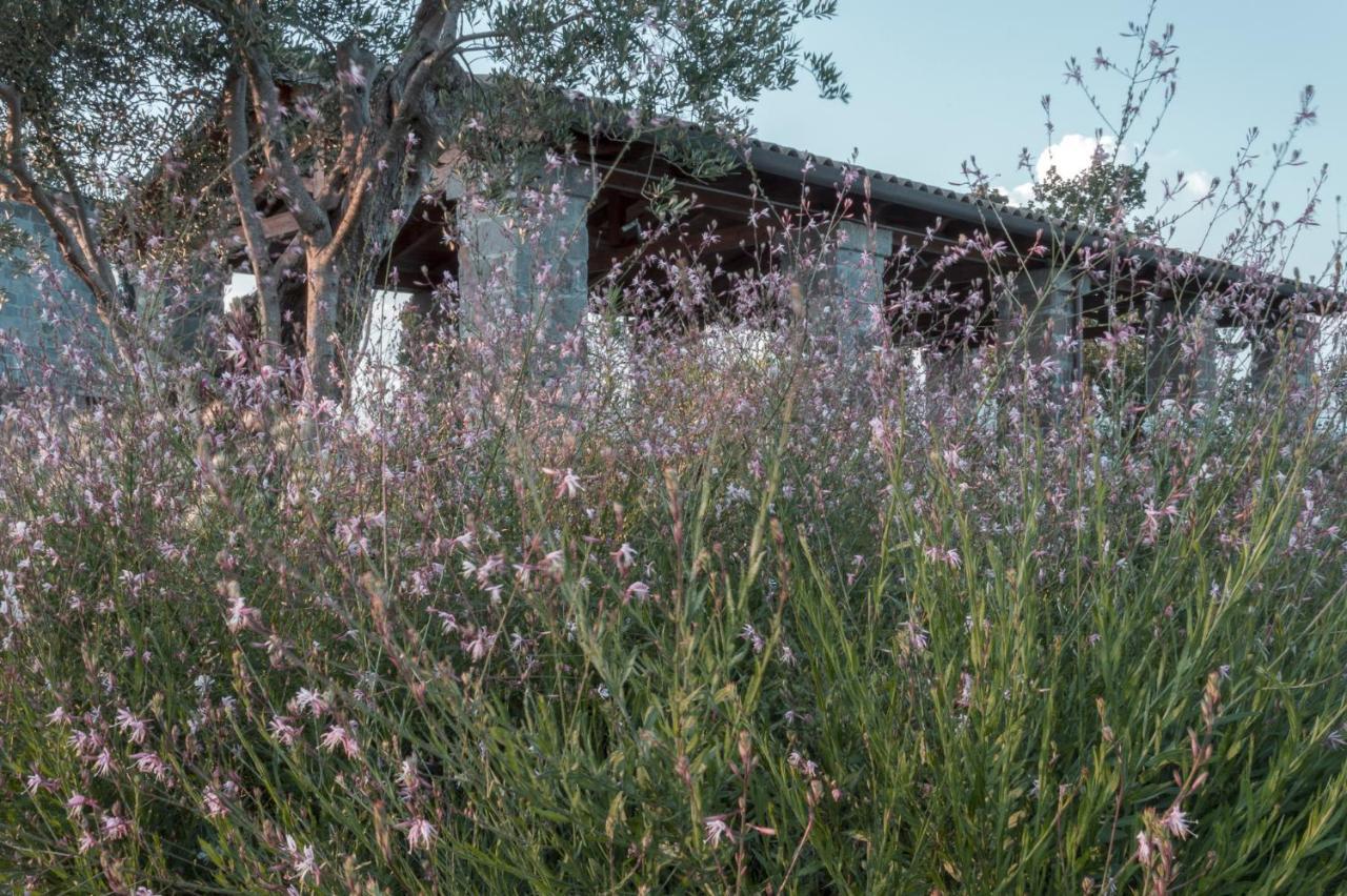 I Cacciagalli Wine Resort Teano Dış mekan fotoğraf