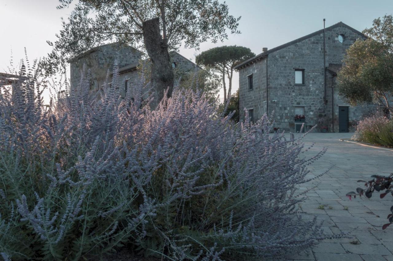 I Cacciagalli Wine Resort Teano Dış mekan fotoğraf