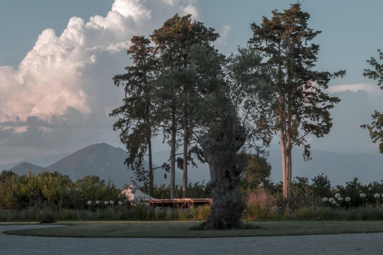 I Cacciagalli Wine Resort Teano Dış mekan fotoğraf