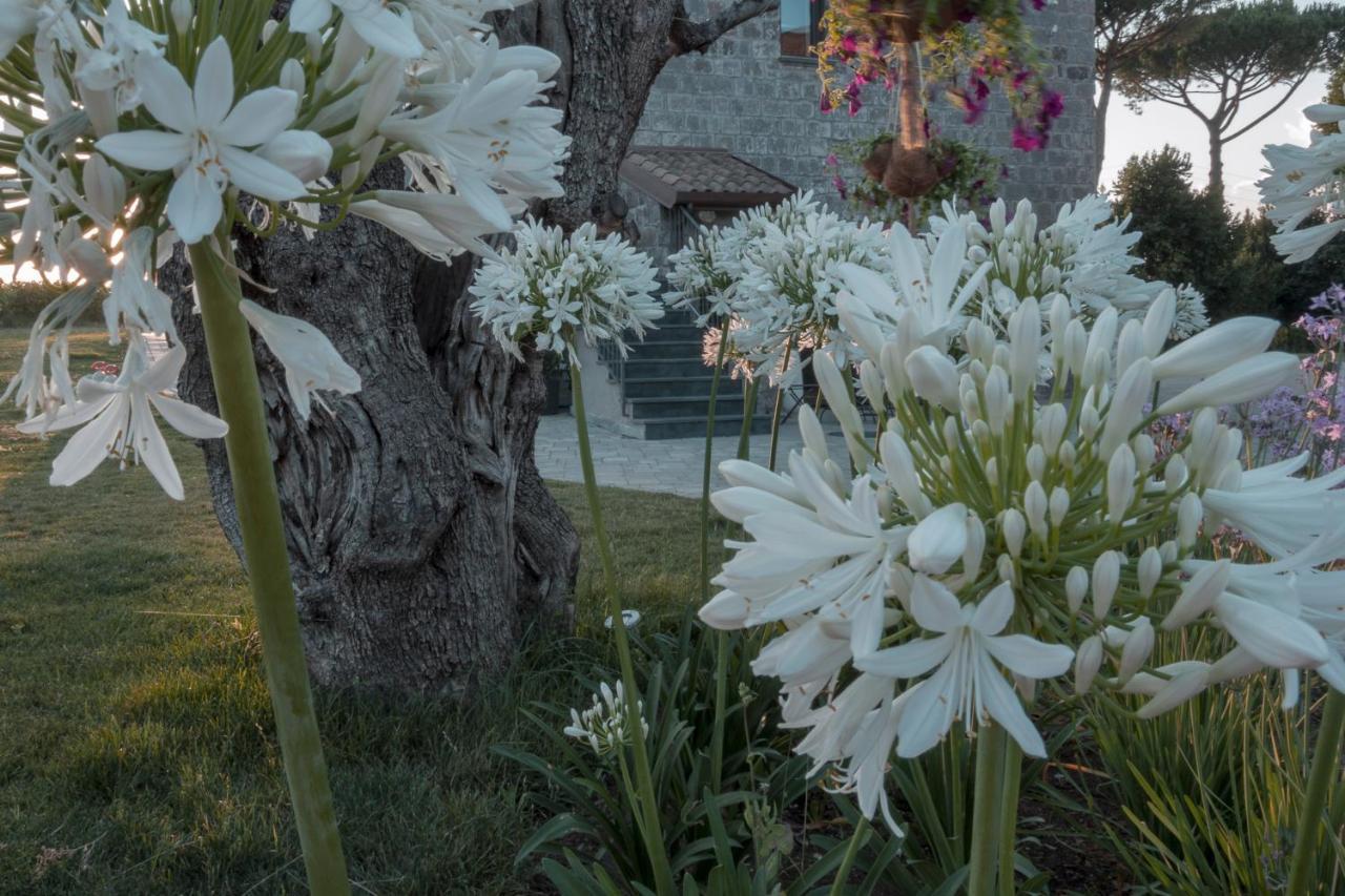I Cacciagalli Wine Resort Teano Dış mekan fotoğraf