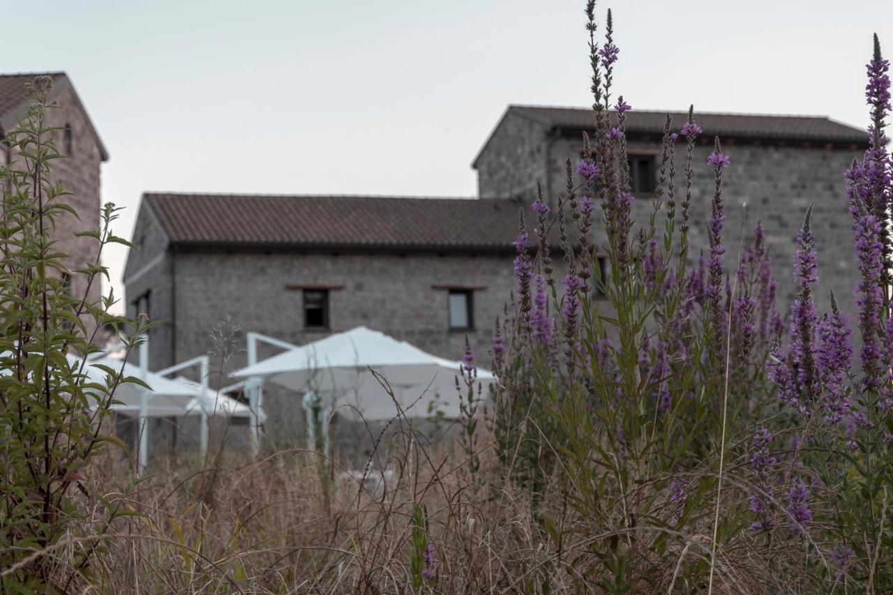 I Cacciagalli Wine Resort Teano Dış mekan fotoğraf
