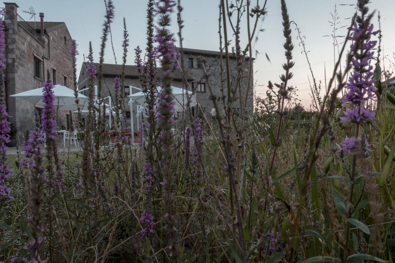 I Cacciagalli Wine Resort Teano Dış mekan fotoğraf