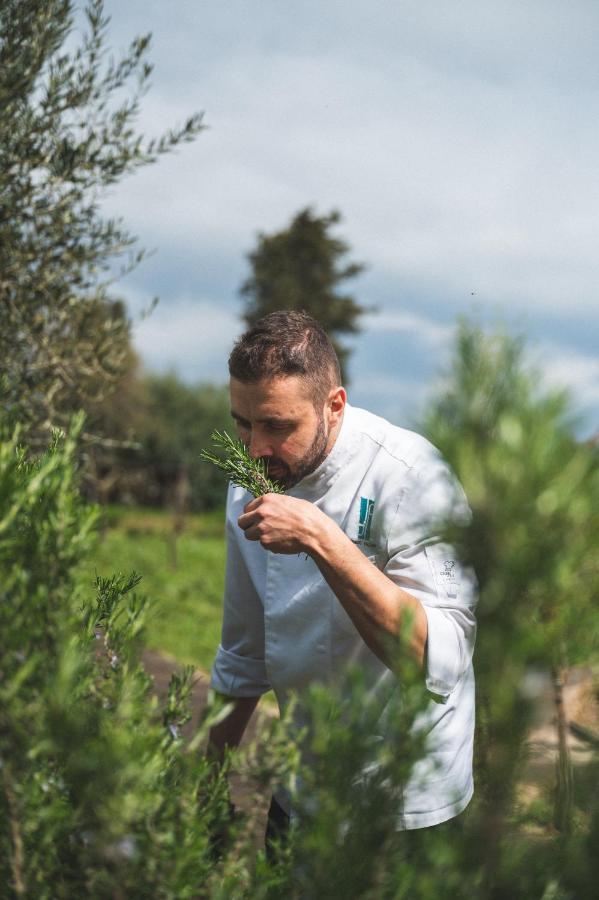 I Cacciagalli Wine Resort Teano Dış mekan fotoğraf