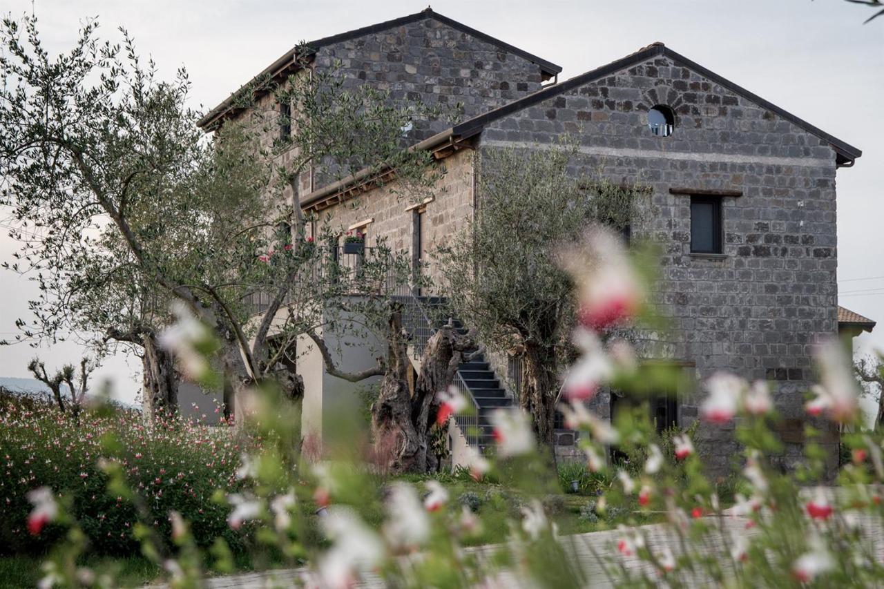 I Cacciagalli Wine Resort Teano Dış mekan fotoğraf