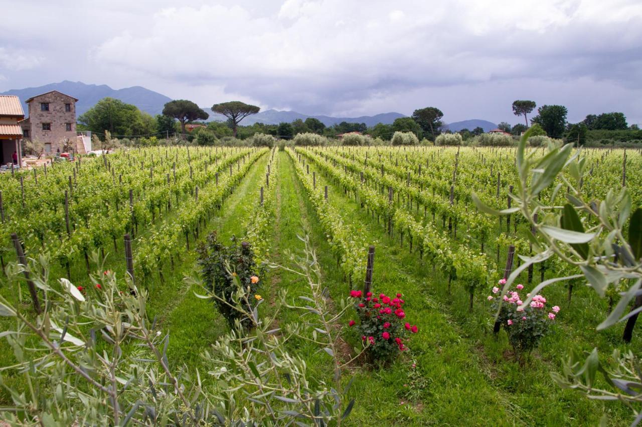 I Cacciagalli Wine Resort Teano Dış mekan fotoğraf