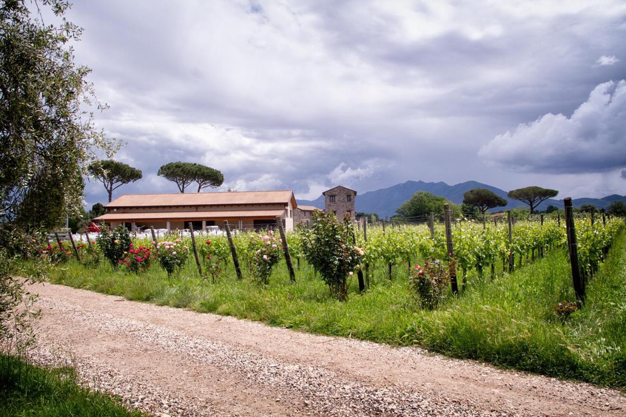 I Cacciagalli Wine Resort Teano Dış mekan fotoğraf